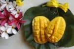 Mango – Letn ovoce pln chuti a vitamn