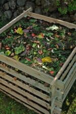 Kompostovn v zim: 7 tip, jak si na jae zajistit bohat kompost