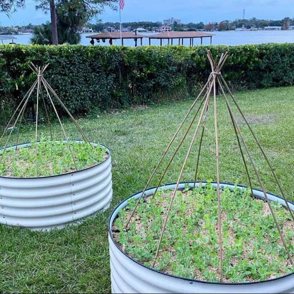 Kreativní nápady na DIY mříže, které zkrášlí vaši zahradu