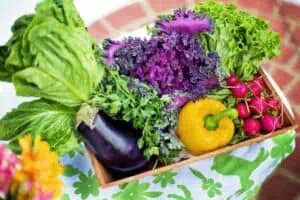 Chyby při výsadbě zeleniny – spojení, která zničí vaši úrodu