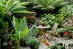 Nvrh zahrady pro zatenky – jak zat s vytvenm zelen ozy
