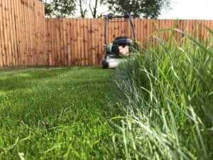 Co dělat s posekanou trávou: 3 způsoby, jak ji využít