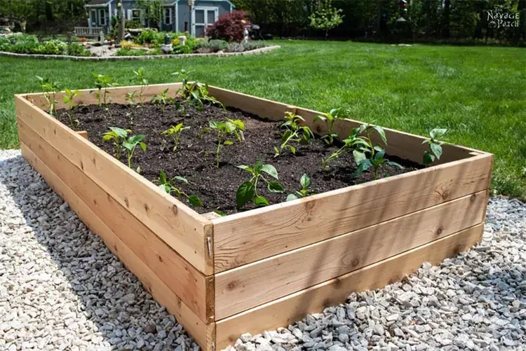 DIY zahradní nápady pro vylepšení Vaší zahrady