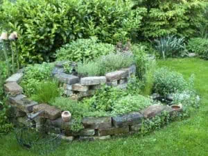 Tradiční bylinkoviště nejen do moderní zahrady