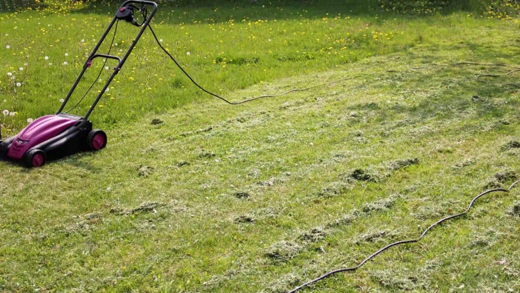 Co dělat s posekanou trávou: 3 způsoby, jak ji využít