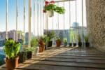 10 nejlepch rostlin pro pstovn na balkon