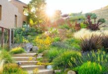 8 kombinac suchovzdornch rostlin pro vodou etrnou zahradu