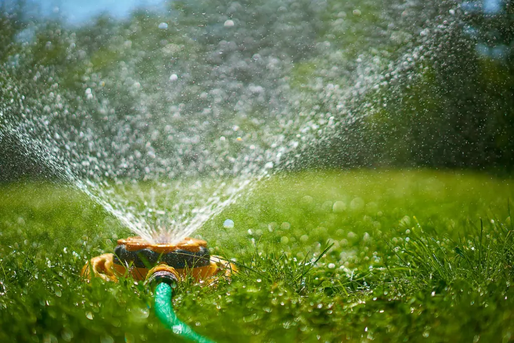 6 důvodů, proč váš trávník hnědne - a jak to napravit