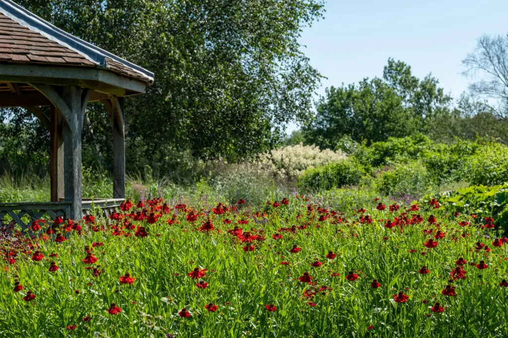 Naturalistická zahrada - jaké jsou její vlastnosti a jak ji vytvořit?