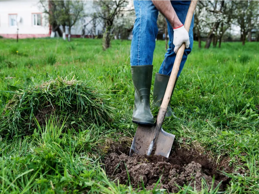 7 způsobů, jak zahradničení přispívá k lepšímu životu