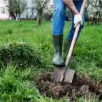 7 způsobů, jak zahradničení přispívá k lepšímu životu