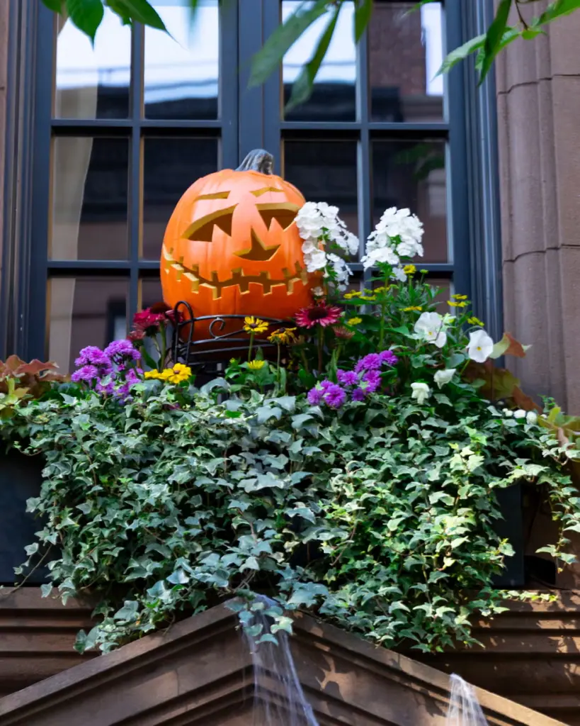 Děsivá noc: jak ozdobit zahradu na Halloween