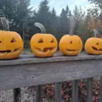 Dokonalá halloweenská dýně: návod krok za krokem