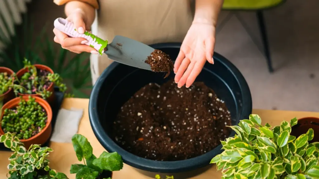 Perlit vs. písek: nejlepší způsob, jak zlepšit odvodnění půdy