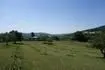 zahrada 